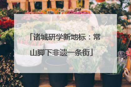诸城研学新地标：常山脚下非遗一条街