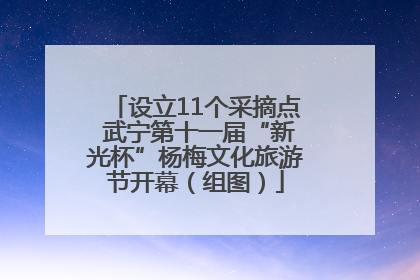 设立11个采摘点 武宁第十一届“新光杯”杨梅文化旅游节开幕（组图）