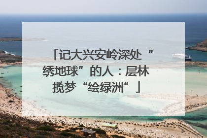 记大兴安岭深处“绣地球”的人：层林揽梦“绘绿洲”