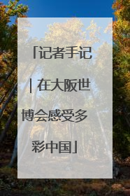 记者手记｜在大阪世博会感受多彩中国