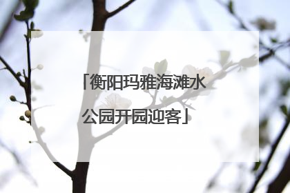 衡阳玛雅海滩水公园开园迎客