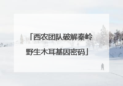 西农团队破解秦岭野生木耳基因密码