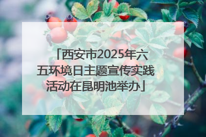西安市2025年六五环境日主题宣传实践活动在昆明池举办