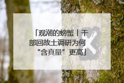 观潮的螃蟹丨干部回故土调研为何“含真量”更高