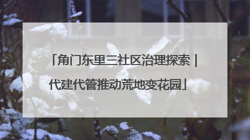 角门东里三社区治理探索｜代建代管推动荒地变花园