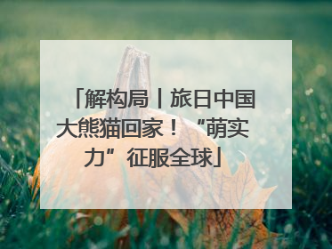 解构局丨旅日中国大熊猫回家！“萌实力”征服全球