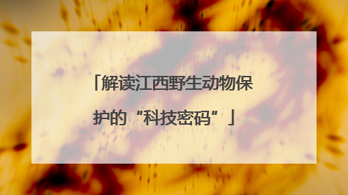 解读江西野生动物保护的“科技密码”