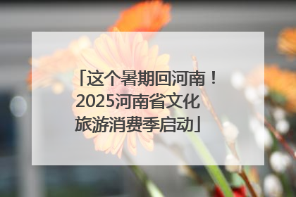 这个暑期回河南！2025河南省文化旅游消费季启动