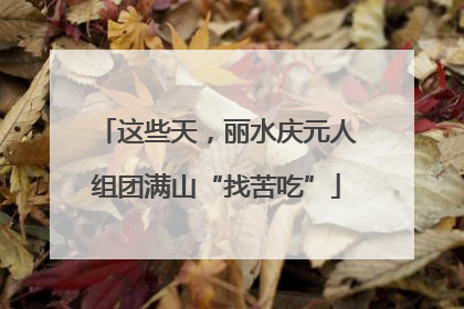 这些天，丽水庆元人组团满山“找苦吃”