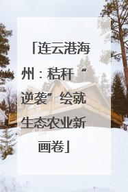 连云港海州：秸秆“逆袭”绘就生态农业新画卷