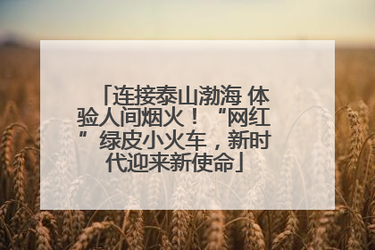 连接泰山渤海 体验人间烟火！“网红”绿皮小火车，新时代迎来新使命