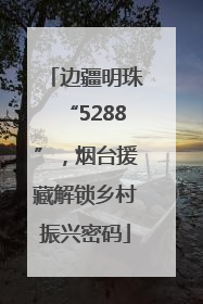 边疆明珠“5288”，烟台援藏解锁乡村振兴密码