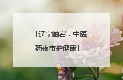 辽宁岫岩：中医药夜市护健康