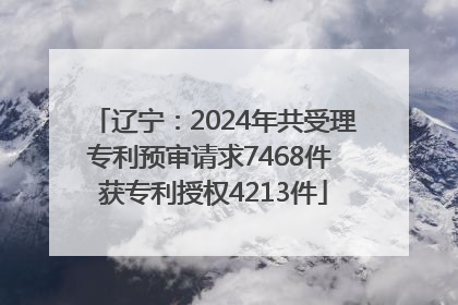 辽宁：2024年共受理专利预审请求7468件 获专利授权4213件