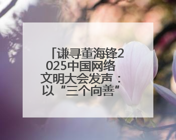 谦寻董海锋2025中国网络文明大会发声：以“三个向善”构建直播电商善意长河