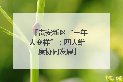 贵安新区“三年大变样”：四大维度协同发展