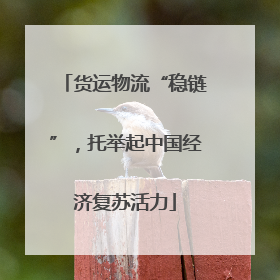 货运物流“稳链”，托举起中国经济复苏活力
