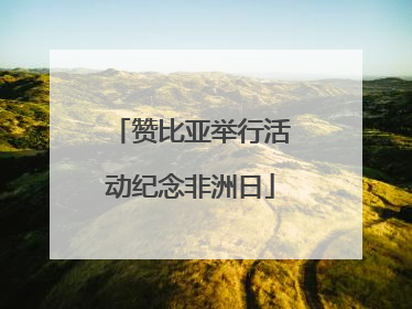 赞比亚举行活动纪念非洲日