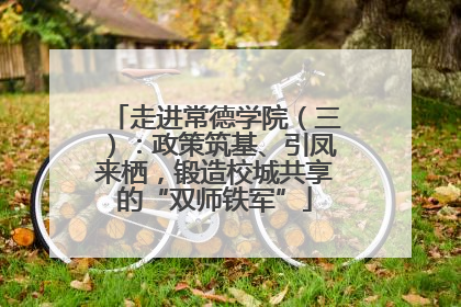 走进常德学院（三）：政策筑基、引凤来栖，锻造校城共享的“双师铁军”