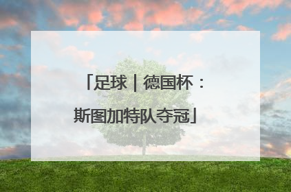 足球｜德国杯：斯图加特队夺冠