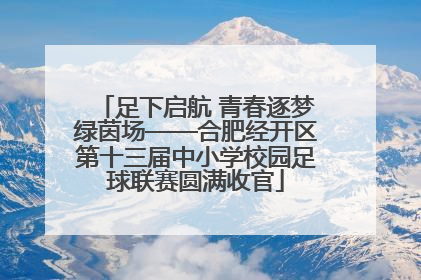 足下启航 青春逐梦绿茵场——合肥经开区第十三届中小学校园足球联赛圆满收官