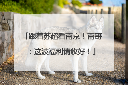 跟着苏超看南京！南哥：这波福利请收好！
