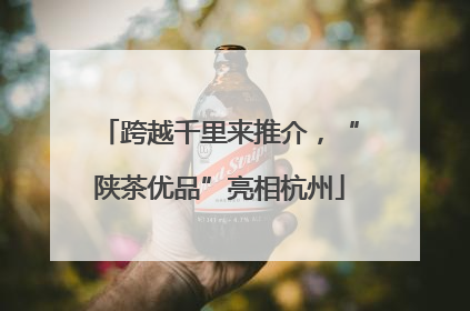 跨越千里来推介，“陕茶优品”亮相杭州