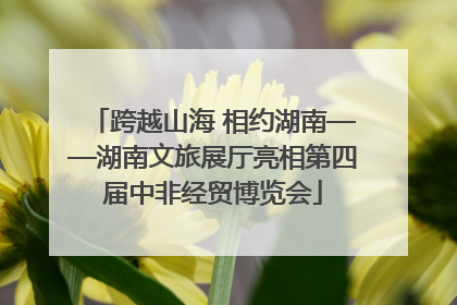 跨越山海 相约湖南——湖南文旅展厅亮相第四届中非经贸博览会