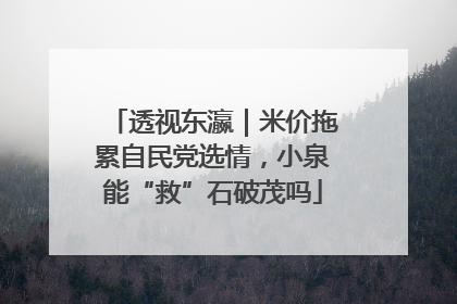 透视东瀛｜米价拖累自民党选情，小泉能“救”石破茂吗