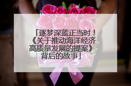 逐梦深蓝正当时！《关于推动海洋经济高质量发展的提案》背后的故事