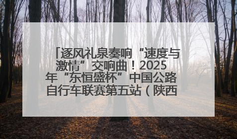 逐风礼泉奏响“速度与激情”交响曲！2025年“东恒盛杯”中国公路自行车联赛第五站（陕西·礼泉站）正式开赛