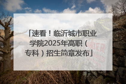 速看！临沂城市职业学院2025年高职（专科）招生简章发布