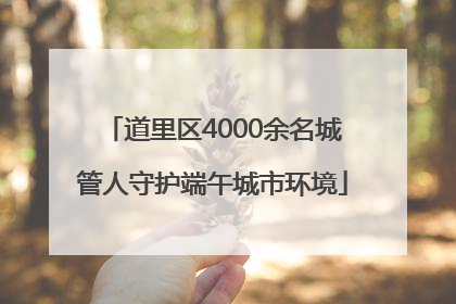 道里区4000余名城管人守护端午城市环境