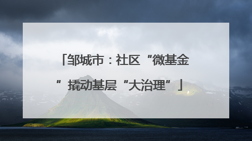 邹城市：社区“微基金”撬动基层“大治理”