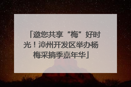 邀您共享“梅”好时光！漳州开发区举办杨梅采摘季嘉年华