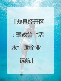 郏县经开区：聚政策“活水” 助企业远航