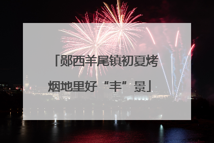 郧西羊尾镇初夏烤烟地里好“丰”景