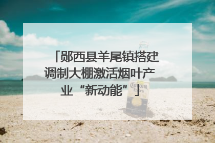 郧西县羊尾镇搭建调制大棚激活烟叶产业“新动能”
