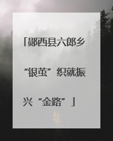 郧西县六郎乡“银茧”织就振兴“金路”