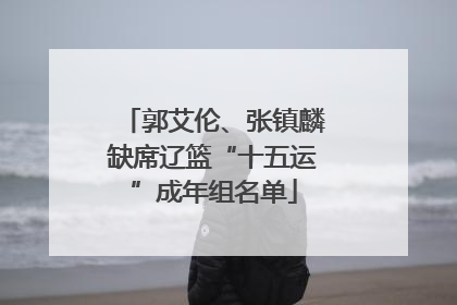 郭艾伦、张镇麟缺席辽篮“十五运”成年组名单