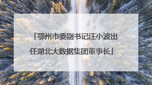 鄂州市委副书记汪小波出任湖北大数据集团董事长