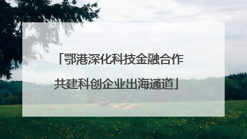 鄂港深化科技金融合作 共建科创企业出海通道