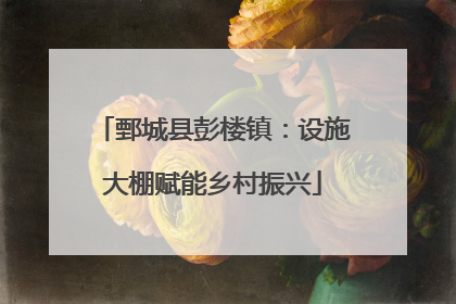 鄄城县彭楼镇：设施大棚赋能乡村振兴