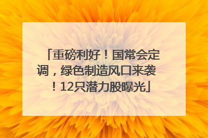 重磅利好！国常会定调，绿色制造风口来袭！12只潜力股曝光