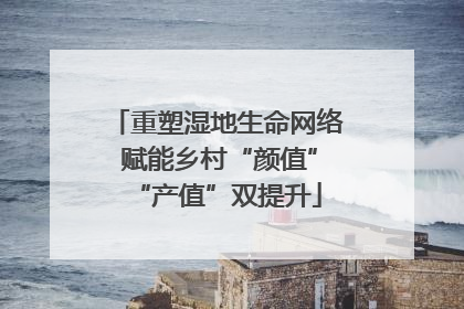 重塑湿地生命网络 赋能乡村“颜值”“产值”双提升