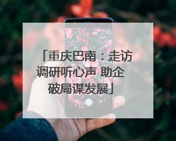 重庆巴南：走访调研听心声 助企破局谋发展