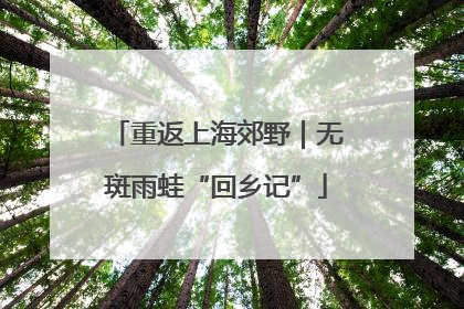 重返上海郊野｜无斑雨蛙“回乡记”