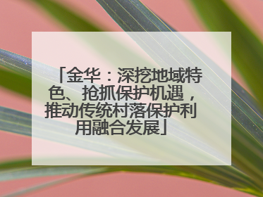 金华：深挖地域特色、抢抓保护机遇，推动传统村落保护利用融合发展