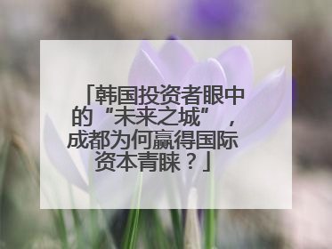 韩国投资者眼中的“未来之城”，成都为何赢得国际资本青睐？
