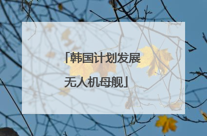 韩国计划发展无人机母舰